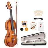 GV103 4/4 Spruce Panel Violin Matte Natural