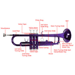 Ozici Brass B Flat Trumpet Violet