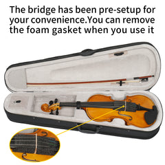 Full Size 4/4 Violin Set for Adults Beginners Students with Hard Case,Violin Bow,Shoulder Rest,Rosin,Extra Strings and Sordine