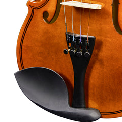 Brand new 1/4 acoustic violin with Hard Case,Violin Bow,Shoulder Rest,Rosin,Extra Strings and Sourdine