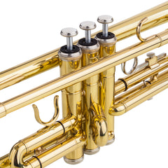 Ozici Drop B Tone Adjustable Trumpet Gloves Set Plaint Golden