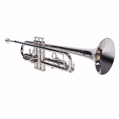 Ozici Nickelplated Drop B Adjustable Trumpet Gloves Set Silver