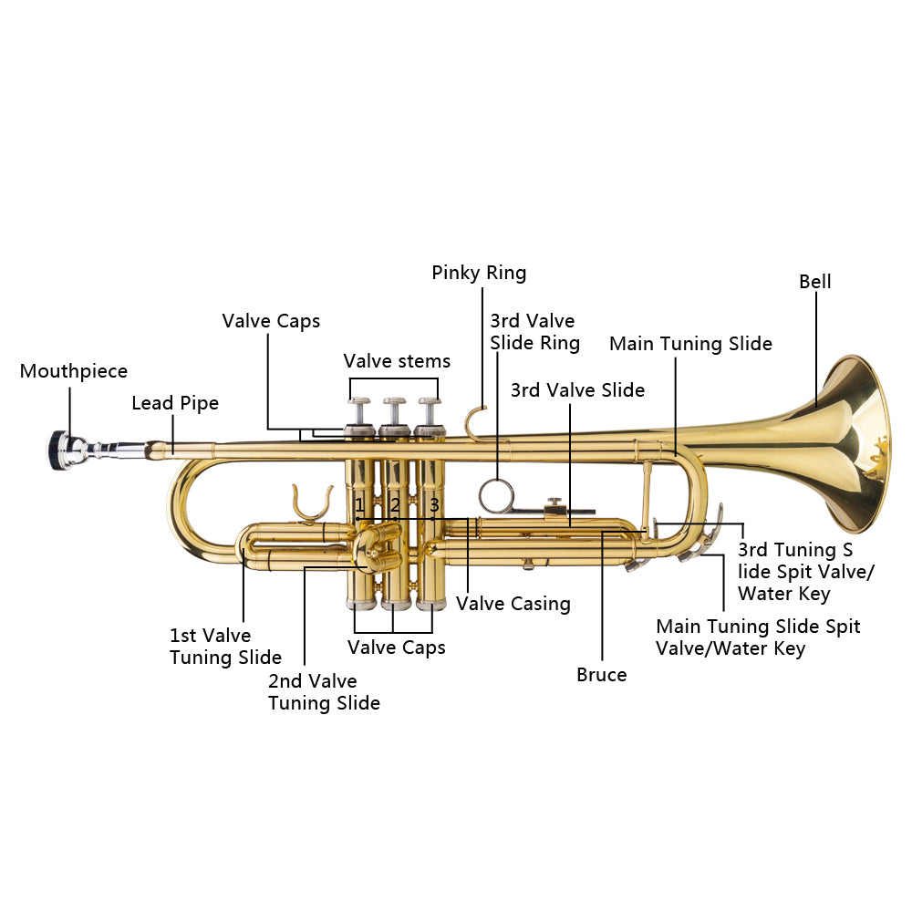 Ozici Drop B Tone Adjustable Trumpet Gloves Set Plaint Golden
