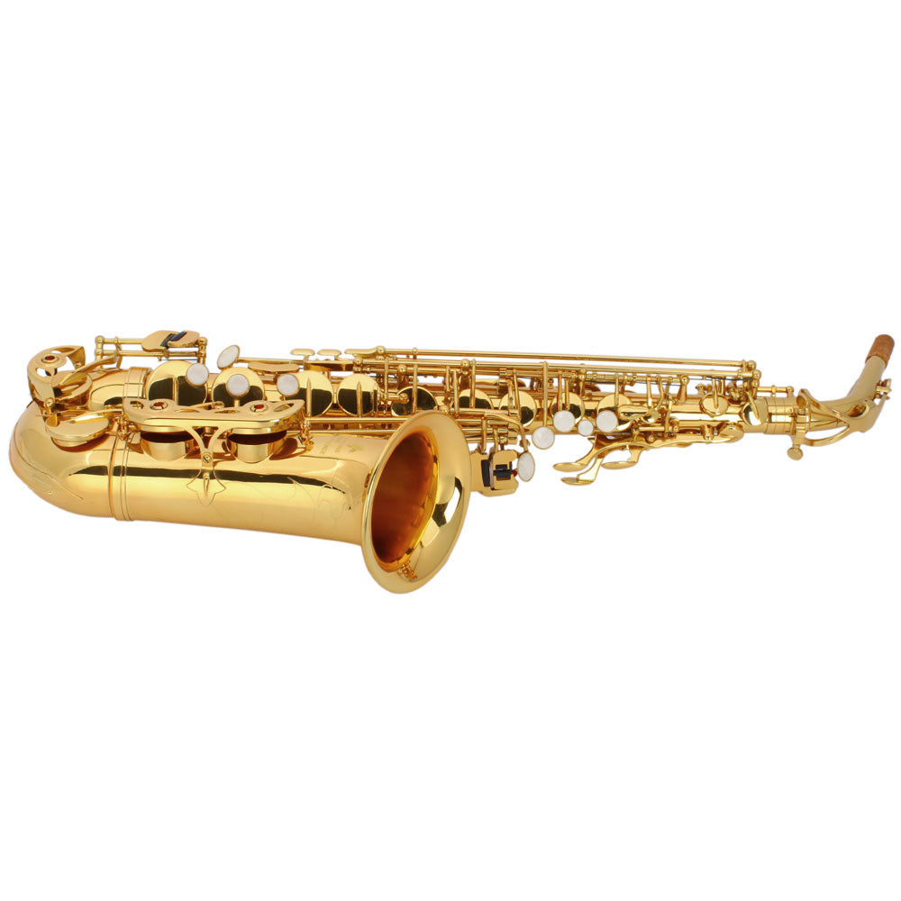 Ozici Stylish Mid-range Alto Drop E Lacquered Golden Saxophone Painted Golden Tube with Carve Patterns