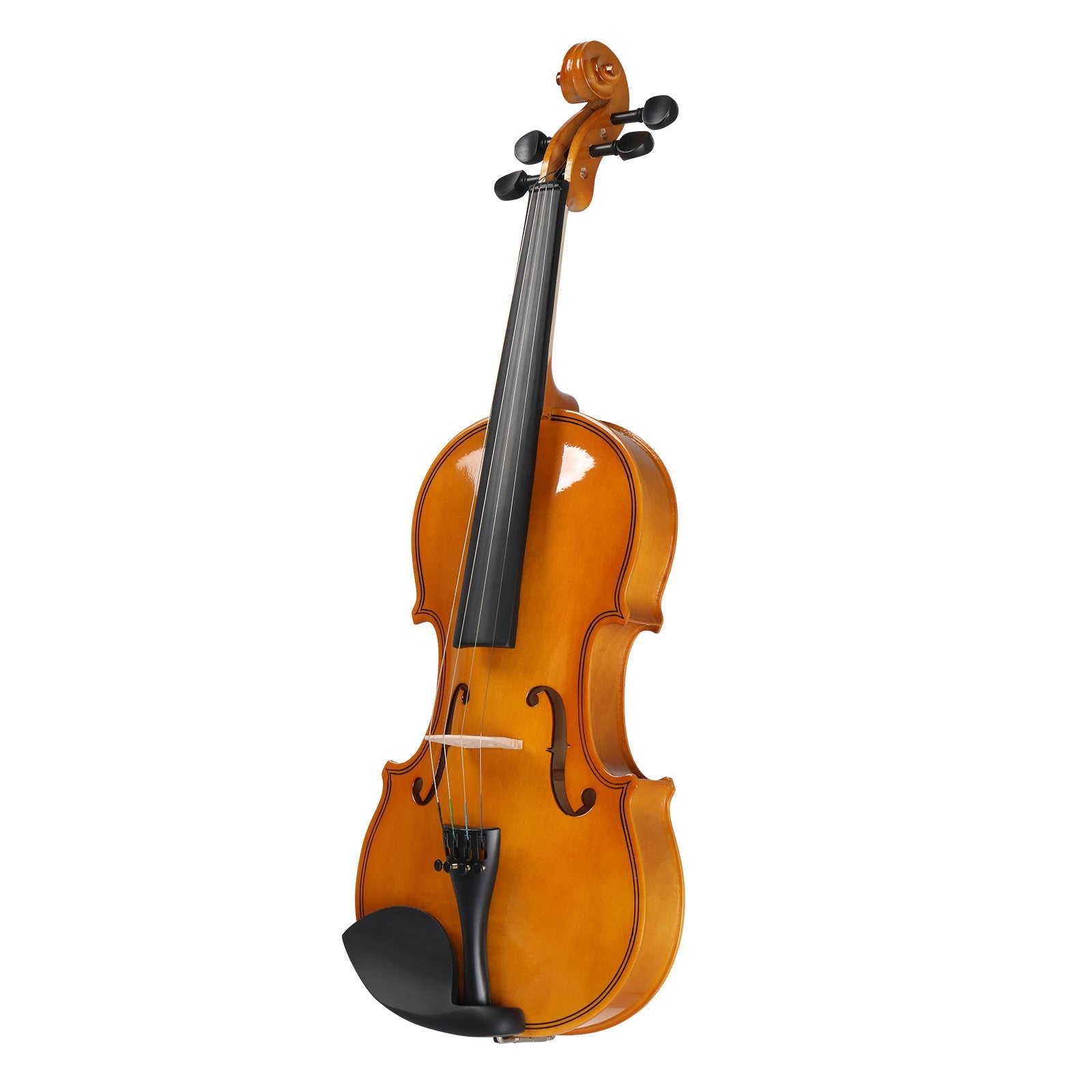 Ozici Full Size 4/4 Violin Set for Adults Beginners Students with Hard Case,Violin Bow,Shoulder Rest,Rosin,Extra Strings and Sordine