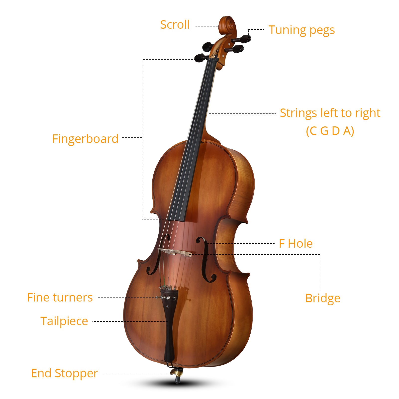 Ozici Full Side 4/4 Matte Natural Color Spruce Panel Cello with Bag Bow Rosin Bridge Strings