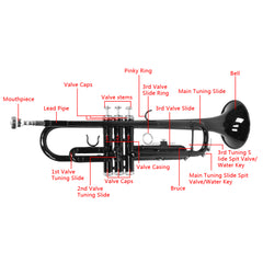 Ozici Nickel Plating Trumpet Gloves Set Black