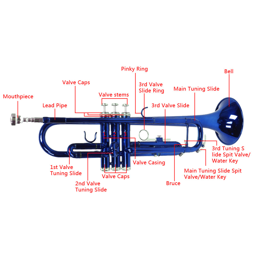 Ozici Brass B Flat Trumpet Gloves Set Blue