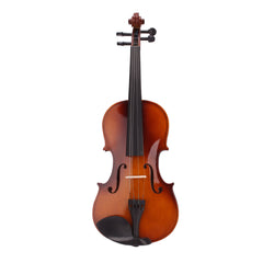 Ozici 4/4 Acoustic Violin Case Bow Rosin Natural