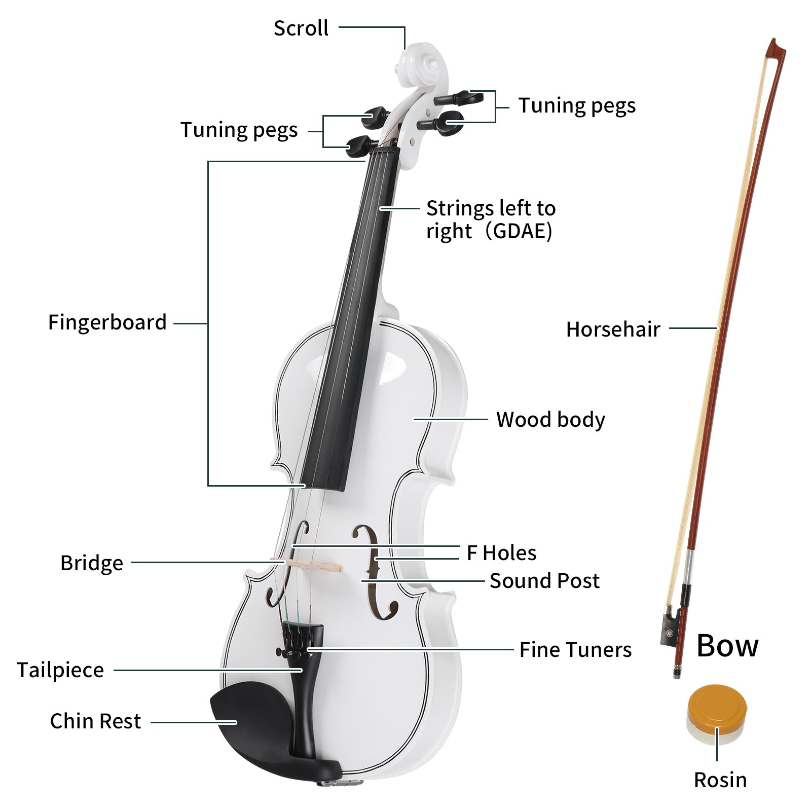 Ozici Full Size 4/4 Violin Set for Adults Beginners Students with Hard Case,Violin Bow,Shoulder Rest,Rosin,Extra Strings and Sordine