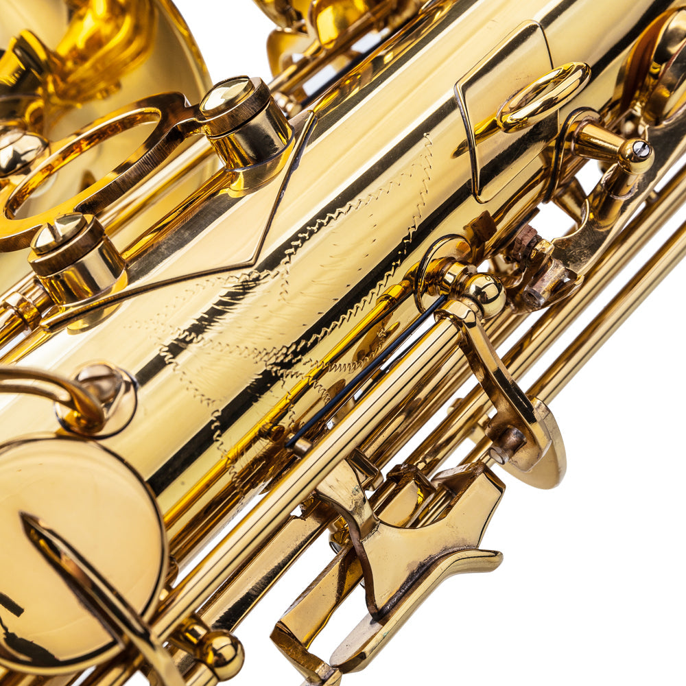 Ozici Stylish Mid-range Alto Drop E Lacquered Golden Saxophone Painted Golden Tube with Carve Patterns