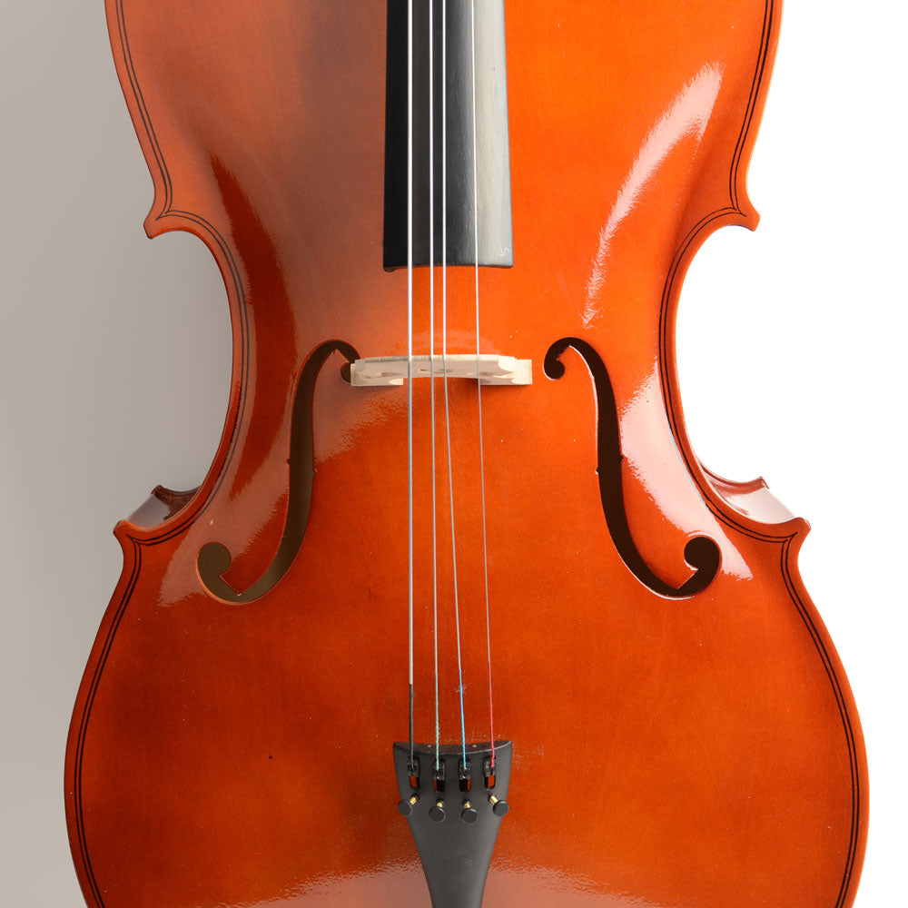 Ozici 4/4 Retro Style Cello Case Bow Rosin