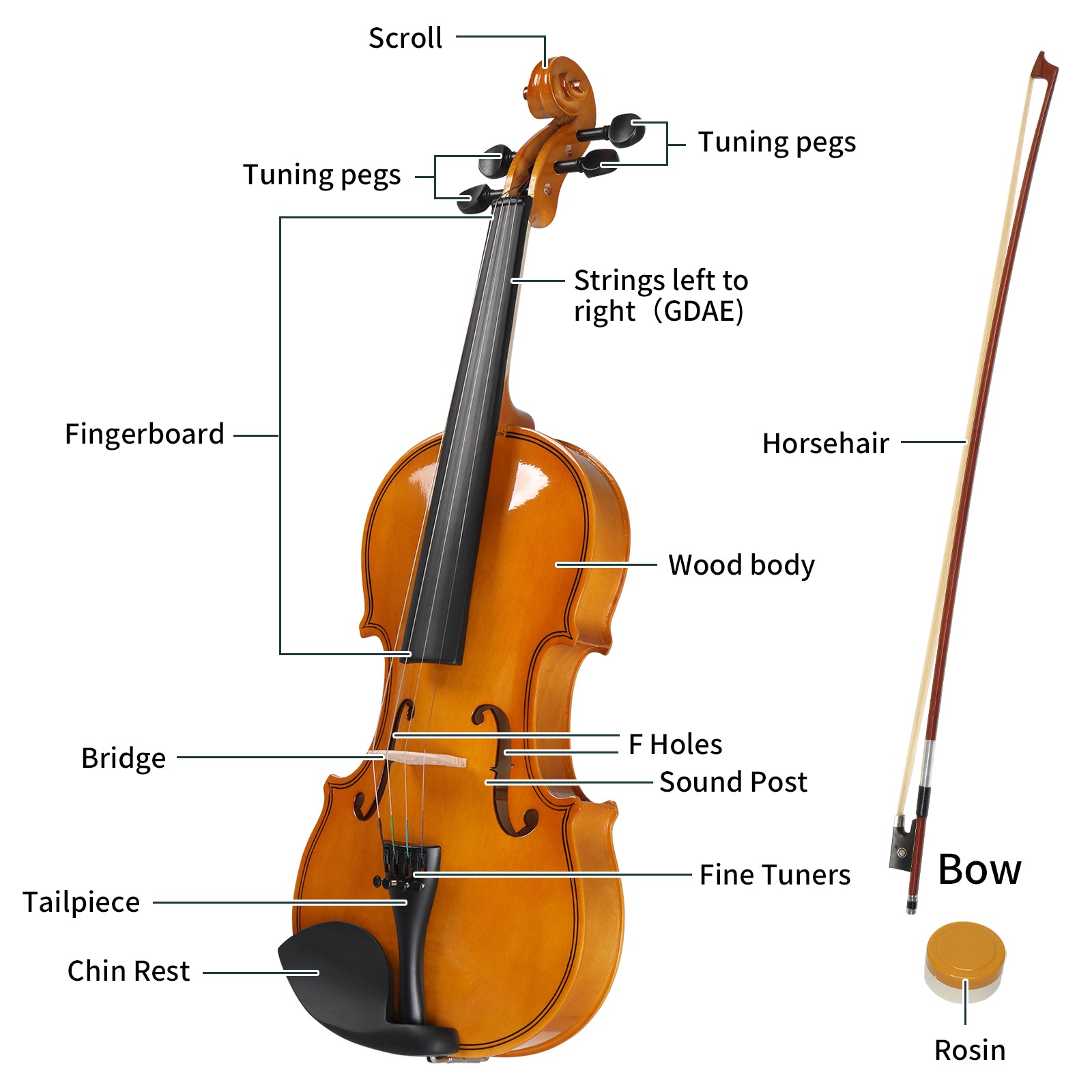 Ozici Full Size 4/4 Violin Set for Adults Beginners Students with Hard Case,Violin Bow,Shoulder Rest,Rosin,Extra Strings and Sordine