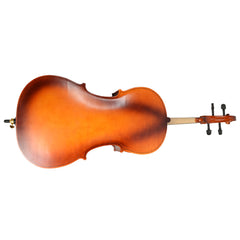 Ozici 4/4 Acoustic Cello Case Bow Rosin Wood