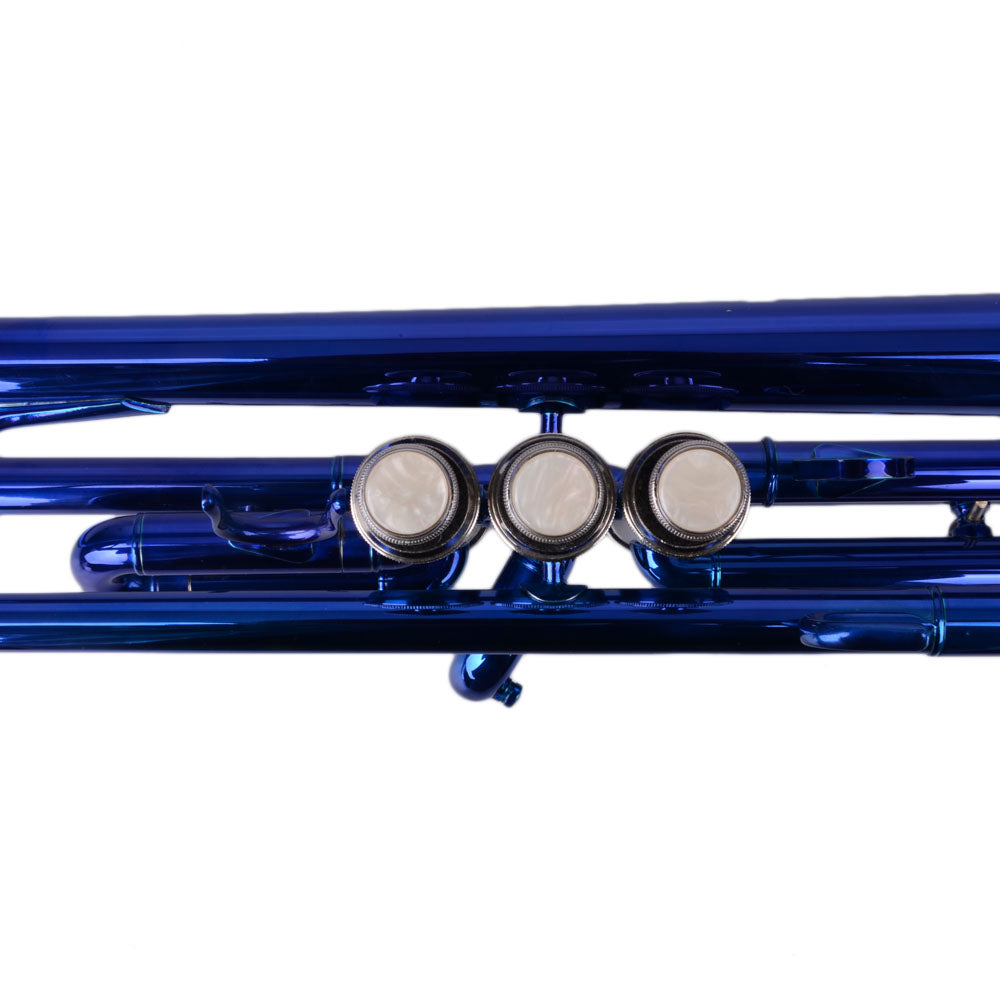 Ozici Brass B Flat Trumpet Gloves Set Blue