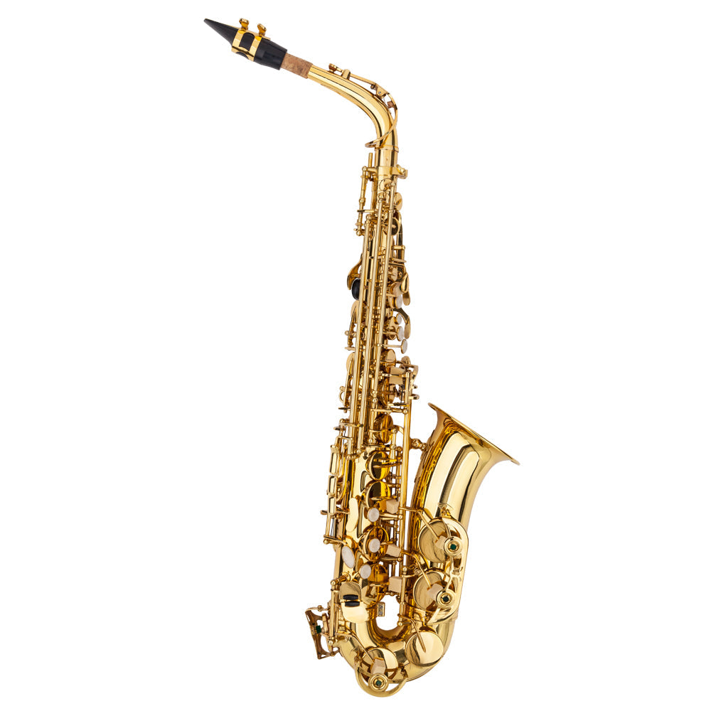 Ozici Stylish Mid-range Alto Drop E Lacquered Golden Saxophone Painted Golden Tube with Carve Patterns