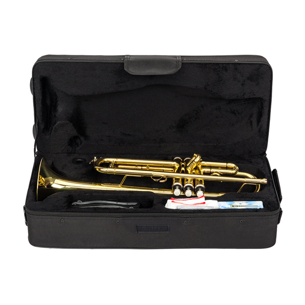 Ozici Drop B Tone Adjustable Trumpet Gloves Set Plaint Golden