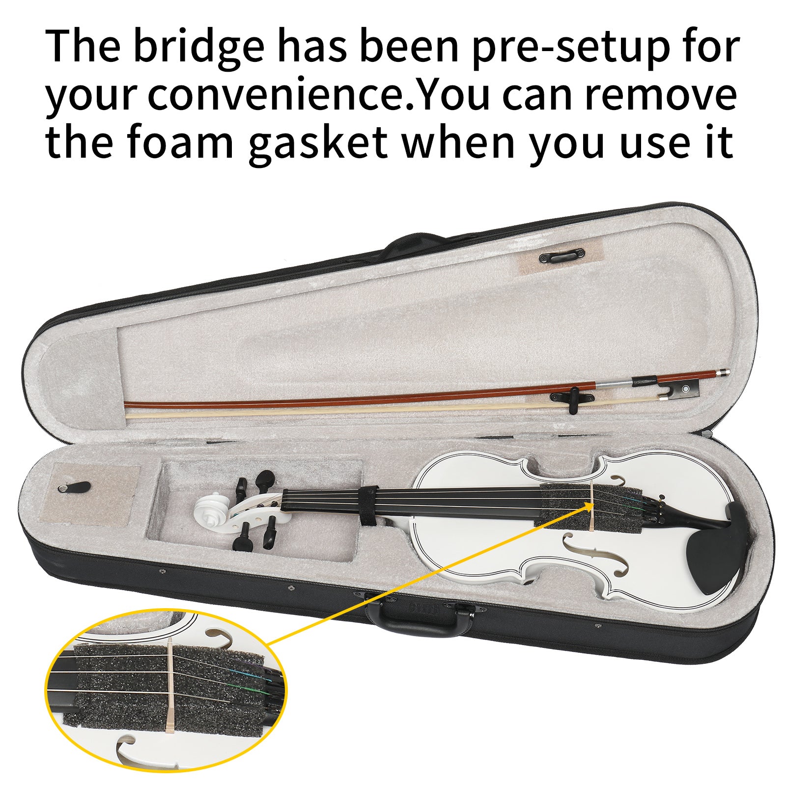 Ozici Full Size 4/4 Violin Set for Adults Beginners Students with Hard Case,Violin Bow,Shoulder Rest,Rosin,Extra Strings and Sordine