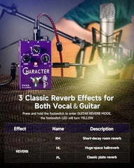 FLAMMA FV03 Vocal Effects Pedal with Delay and Reverb Effects Polishing Up