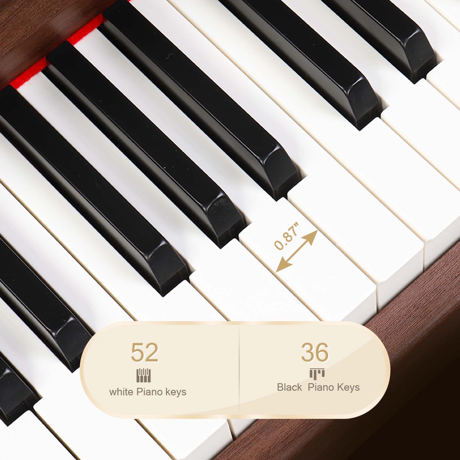 Ozici GDP-107 88 Key Standard Full Weighted Keyboards Digital Piano with Furniture Stand, Audio and MIDI Bluetooth, Triple Pedals, Headphone，for Black Walnut