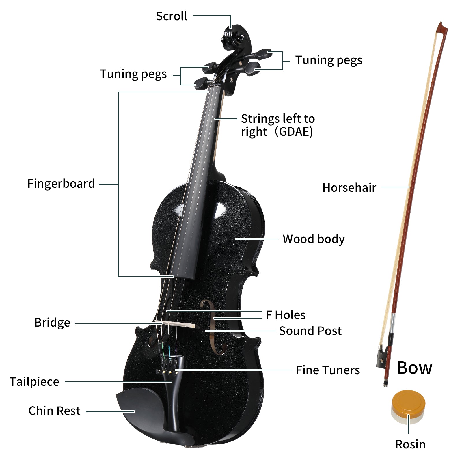 Ozici Full Size 4/4 Violin Set for Adults Beginners Students with Hard Case,Violin Bow,Shoulder Rest,Rosin,Extra Strings and Sordine