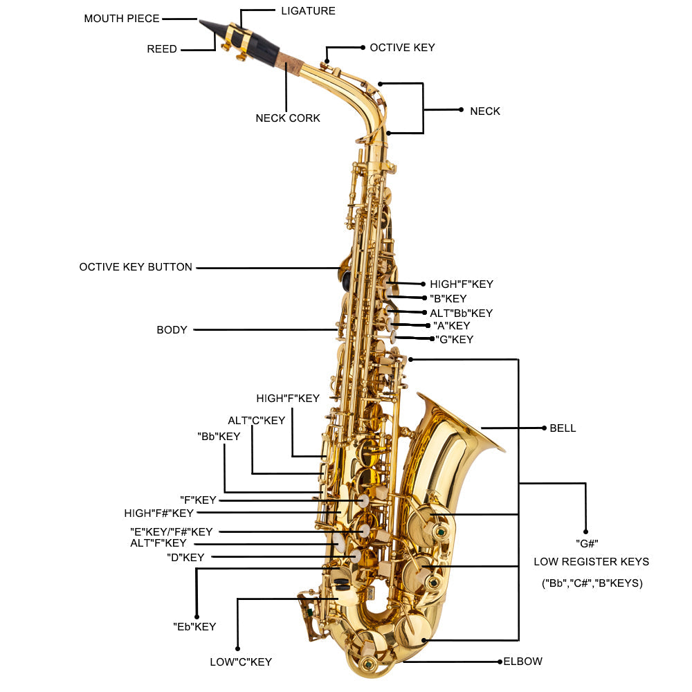 Ozici Stylish Mid-range Alto Drop E Lacquered Golden Saxophone Painted Golden Tube with Carve Patterns