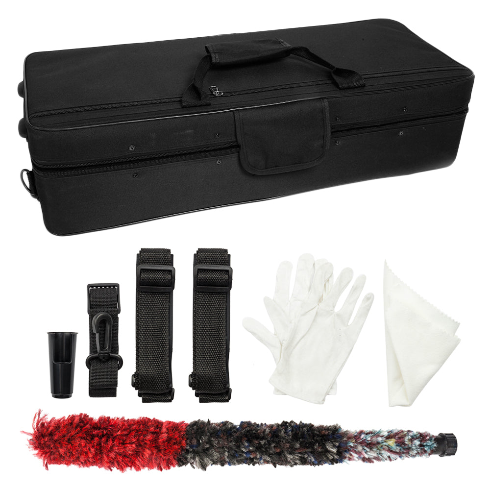 Ozici Stylish Mid-range Alto Drop E Lacquered Golden Saxophone Painted Golden Tube with Carve Patterns