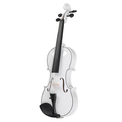 Ozici Full Size 4/4 Violin Set for Adults Beginners Students with Hard Case,Violin Bow,Shoulder Rest,Rosin,Extra Strings and Sordine