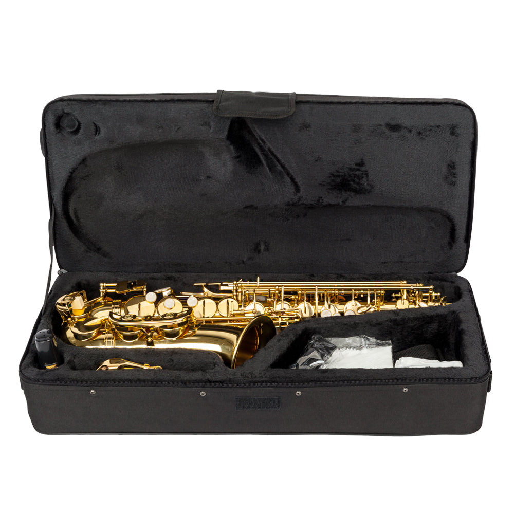 Ozici Stylish Mid-range Alto Drop E Lacquered Golden Saxophone Painted Golden Tube with Carve Patterns