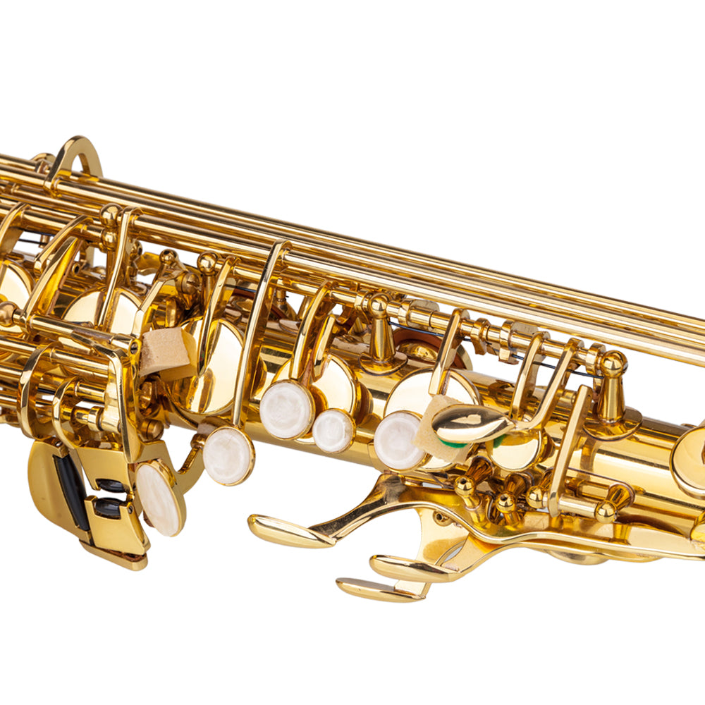 Ozici Stylish Mid-range Alto Drop E Lacquered Golden Saxophone Painted Golden Tube with Carve Patterns