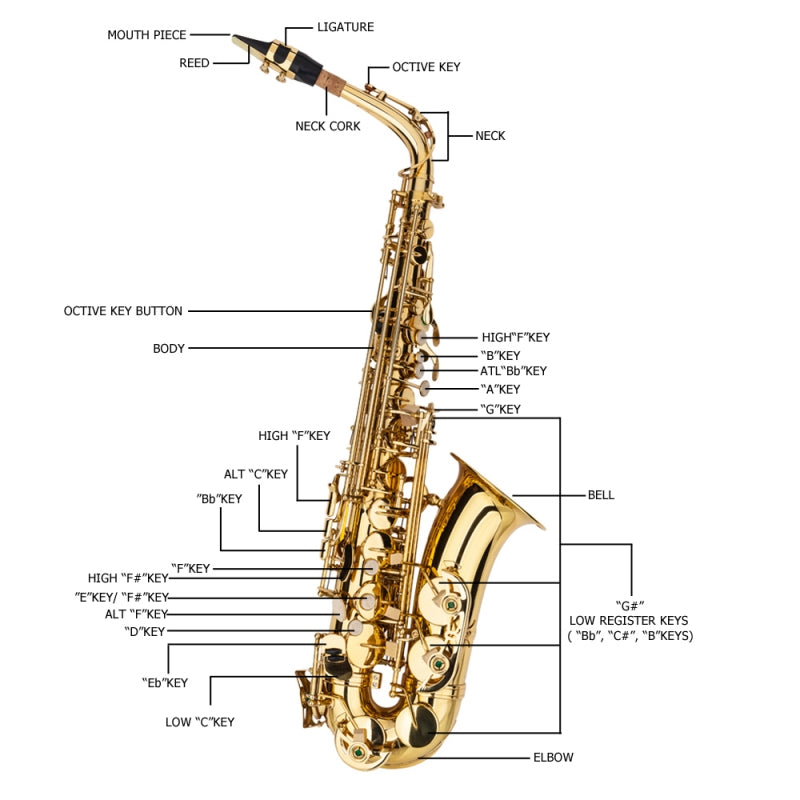 Glarry Student E Flat Alto SAX Saxophone - Gold