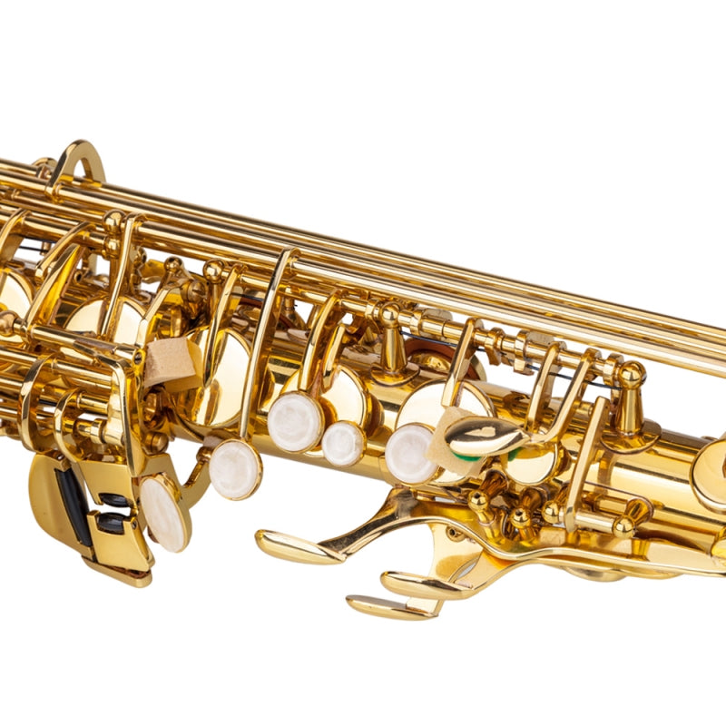 Glarry Student E Flat Alto SAX Saxophone - Gold