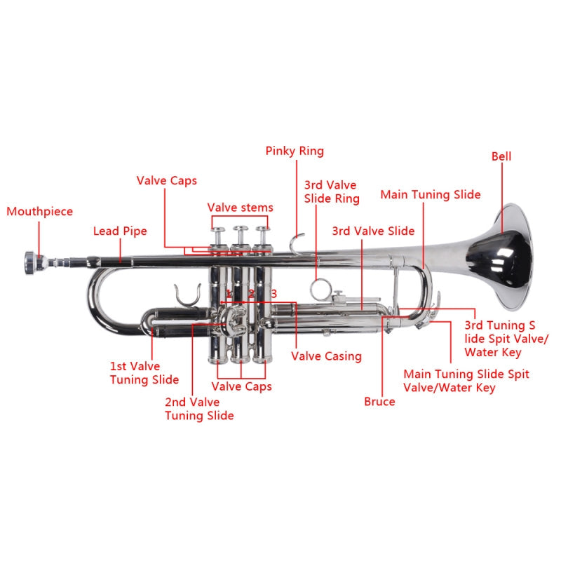 Glarry Brass Trumpet Bb with 7C Mouthpiece Silver