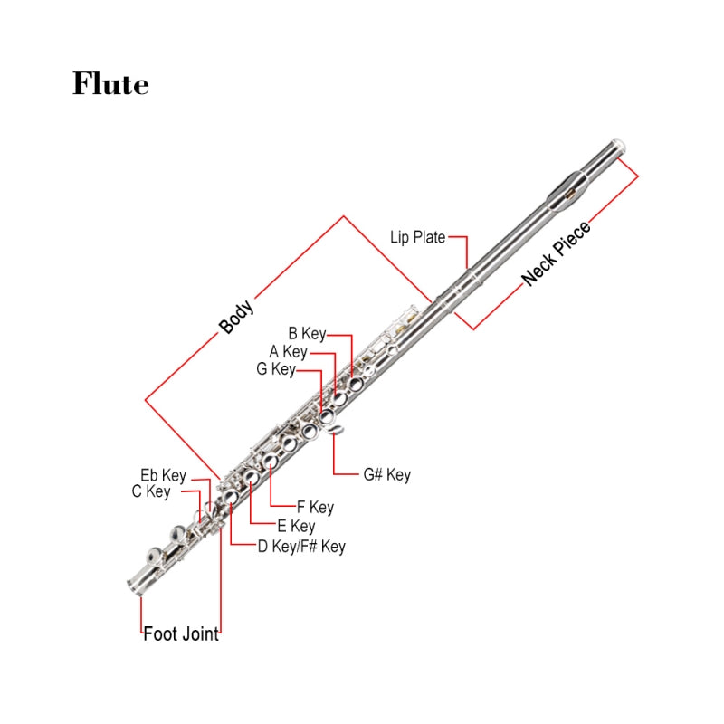 Glarry 16 Keys C Cupronickel Flute Closed Hole Separated E Key Silver