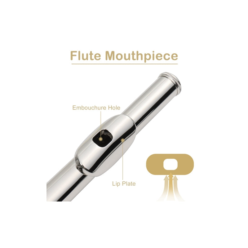 Glarry 16 Keys C Cupronickel Flute Closed Hole Separated E Key Silver