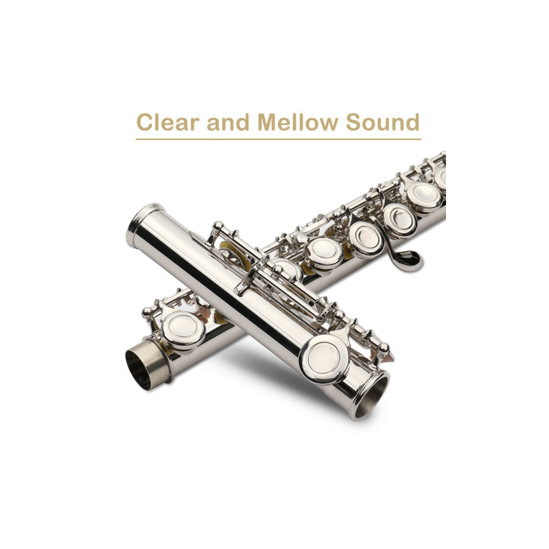 Glarry 16 Keys C Cupronickel Flute Closed Hole Separated E Key Silver