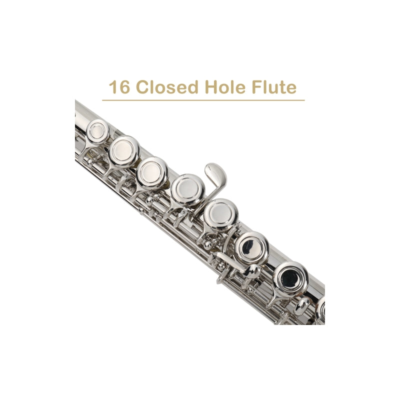 Glarry 16 Keys C Cupronickel Flute Closed Hole Separated E Key Silver